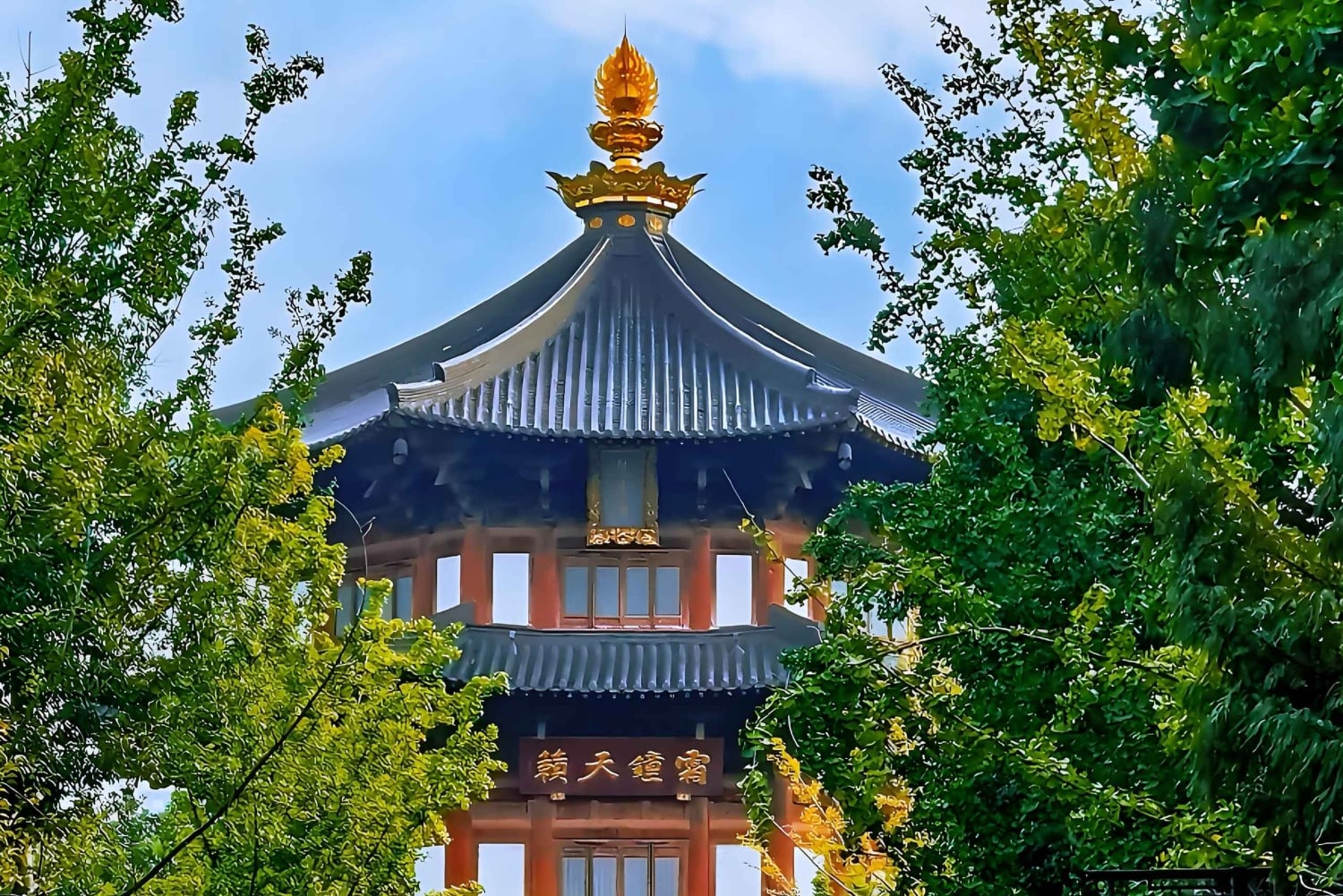 Fra Shanghai: Dagsudflugt til Suzhou med have og tempel