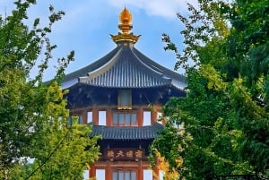 Fra Shanghai: Dagsudflugt til Suzhou med have og tempel