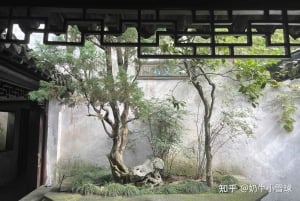 De Xangai: Excursão cultural autêntica de tour particular a Suzhou