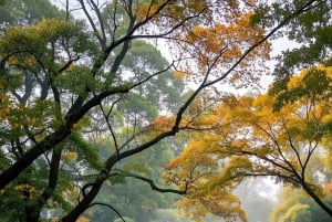 Fra Shanghai: Suzhou, Wuzhen og Hangzhou 3-dages tur