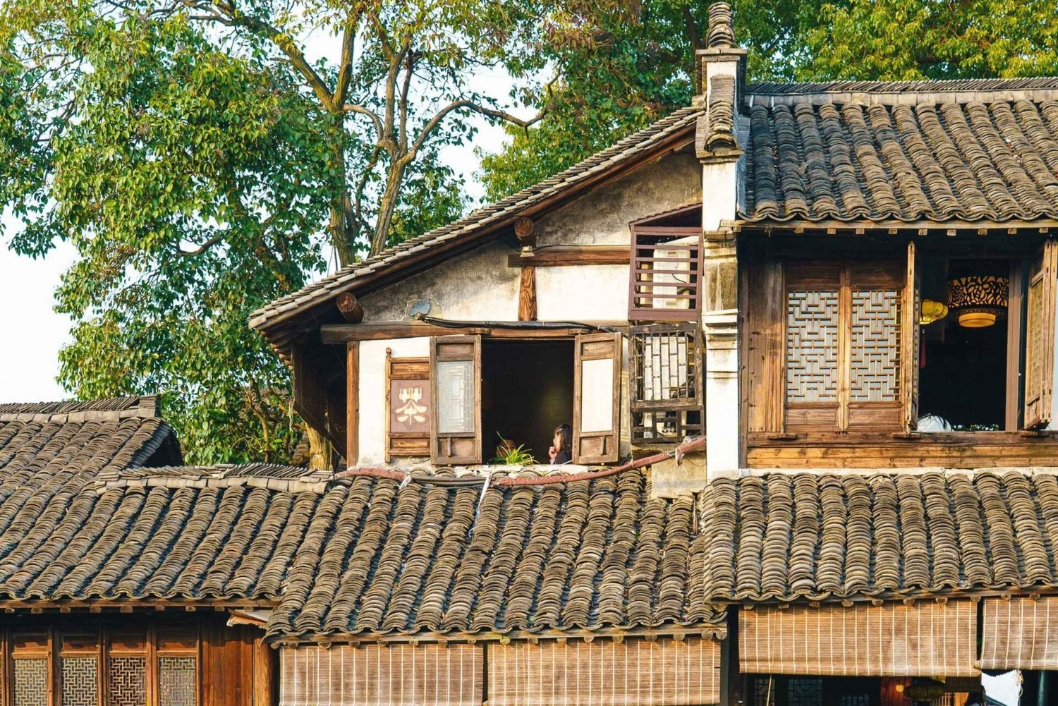 Von Shanghai aus: 1-tägige private Tour in die alte Wasserstadt Wuzhen