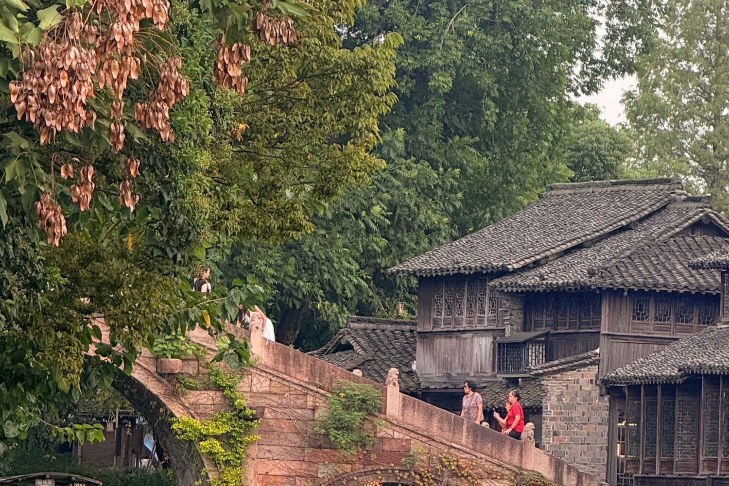 Depuis Shanghai : visite privative d'une journée de la ville aquatique de Wuzhen