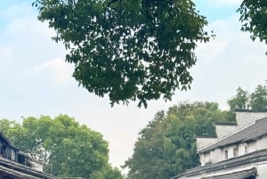 Depuis Shanghai : visite privative d'une journée de la ville aquatique de Wuzhen