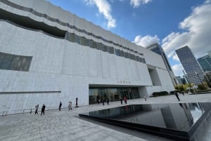 Halvdagstur med guidet tur i Shanghai Museums østfløj