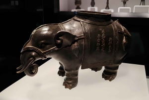 Halvdagstur med guidet tur i Shanghai Museums østfløj