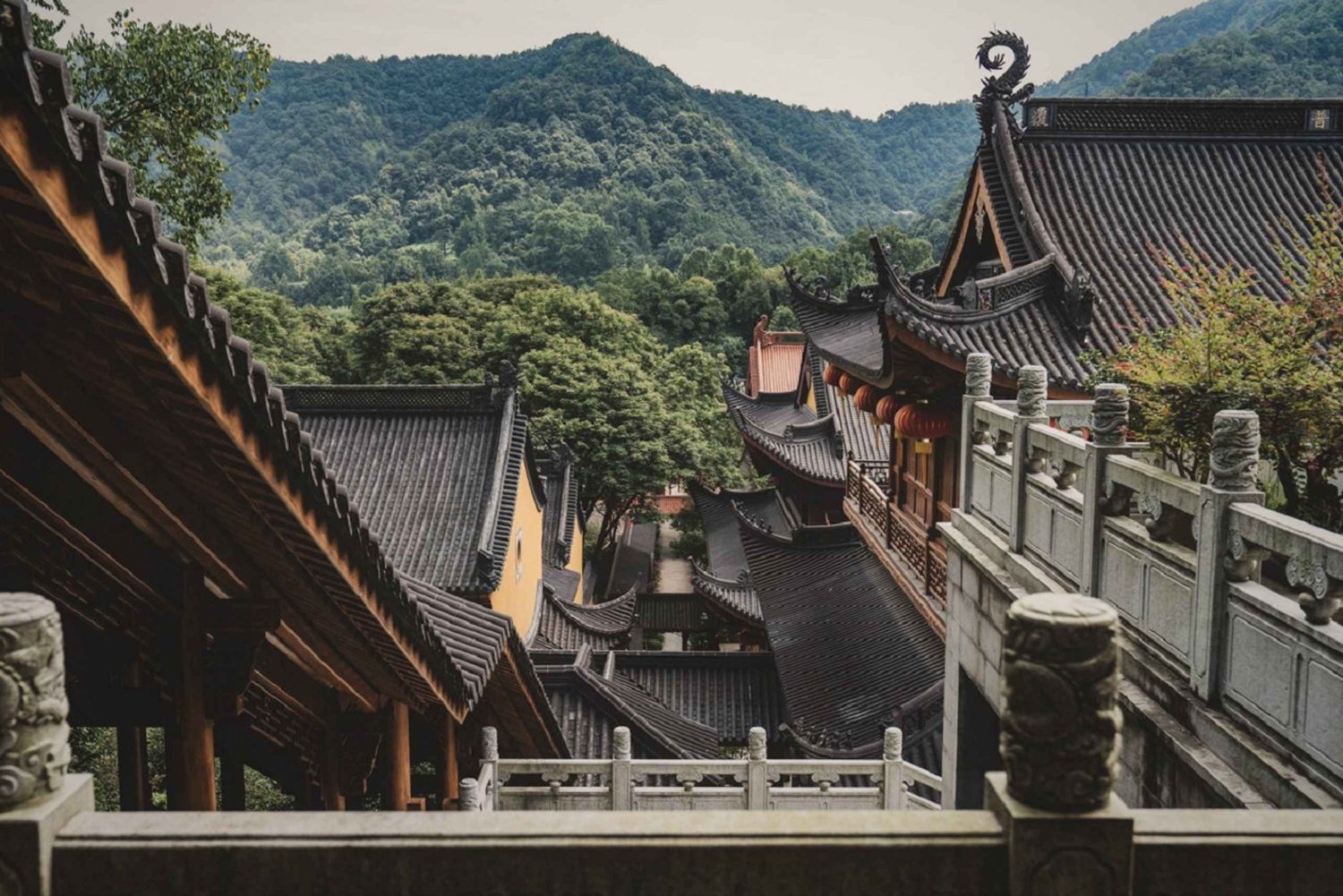 Hangzhou Privé Dagtrip met de Kogeltrein vanuit Shanghai