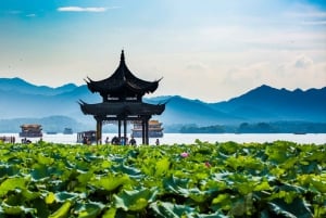 Hangzhou Privé Dagtrip met de Kogeltrein vanuit Shanghai