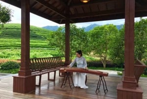 Hangzhou Privé Dagtrip met de Kogeltrein vanuit Shanghai