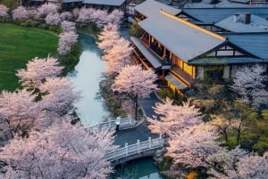 Nanjing: 6-daagse Jiangnan-tour met maaltijden en hotels