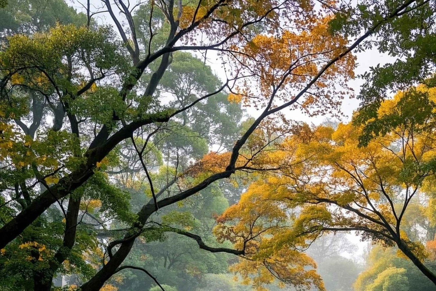 Nanjing: 6-tägige Tour durch Ostchina mit Disney-Ticket