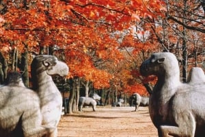 Nanjing:Must-See Attractions in One Day+Customized Itinerary