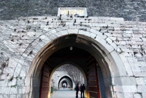 Nanjing:Must-See Attractions in One Day+Customized Itinerary