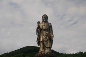 Yksityinen päiväretki Wuxi Lingshan Grand Buddha ja Tai-järvi