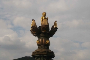 Yksityinen päiväretki Wuxi Lingshan Grand Buddha ja Tai-järvi