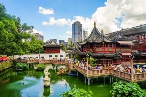 Private Shanghai One Day City Tour with Old & New Highlights