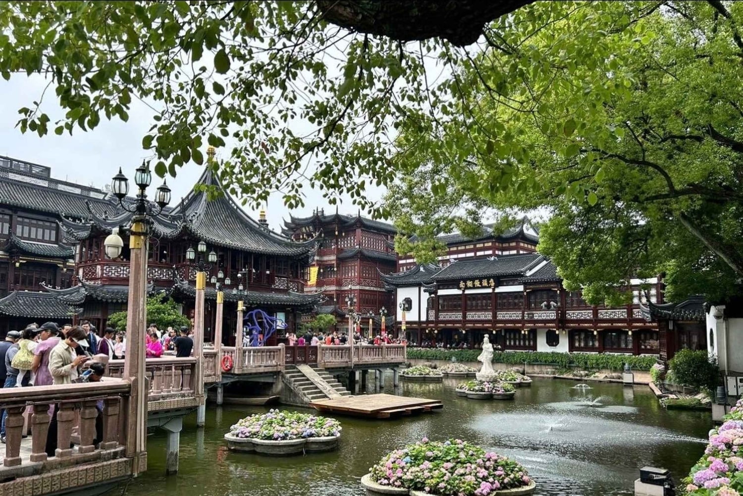 Sotamies Lyaover: Kruisailu Shanghaissa Teslalla