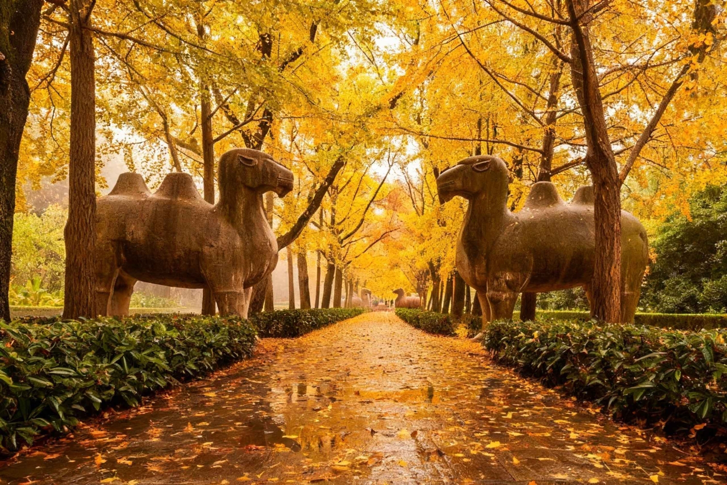 Private Nanjing Day Tour from Shanghai by Bullet Train