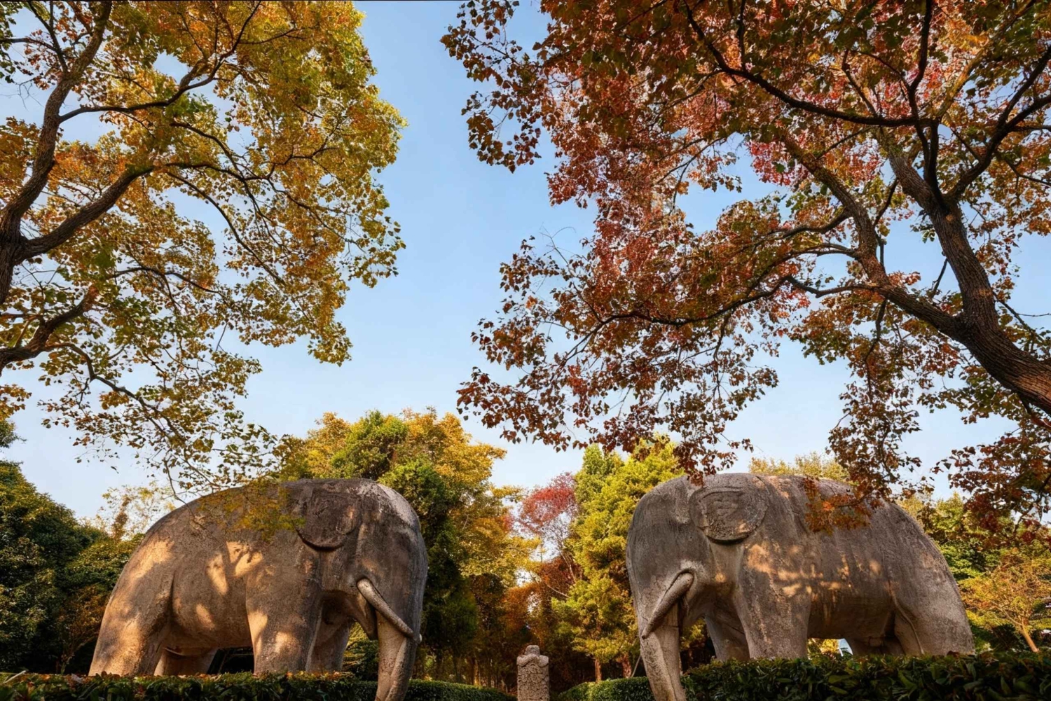 Private Nanjing Day Tour from Shanghai by Bullet Train