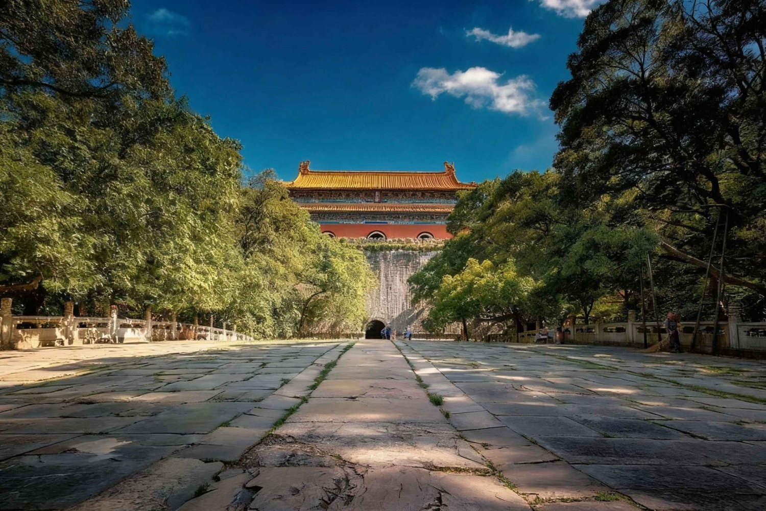 Private Nanjing Day Tour from Shanghai by Bullet Train