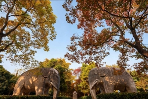 Private Nanjing Day Tour from Shanghai by Bullet Train