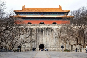 Private Nanjing Day Tour from Shanghai by Bullet Train