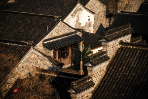 Private Nanjing Day Tour from Shanghai by Bullet Train