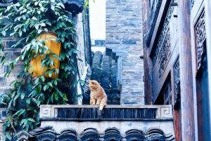 Private Nanjing Day Tour from Shanghai by Bullet Train