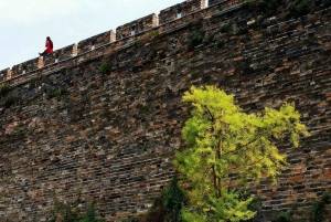 Private Nanjing Day Tour from Shanghai by Bullet Train