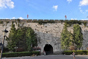 Private Nanjing Day Tour from Shanghai by Bullet Train