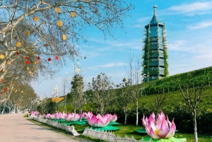 Private Nanjing Day Tour from Shanghai by Bullet Train