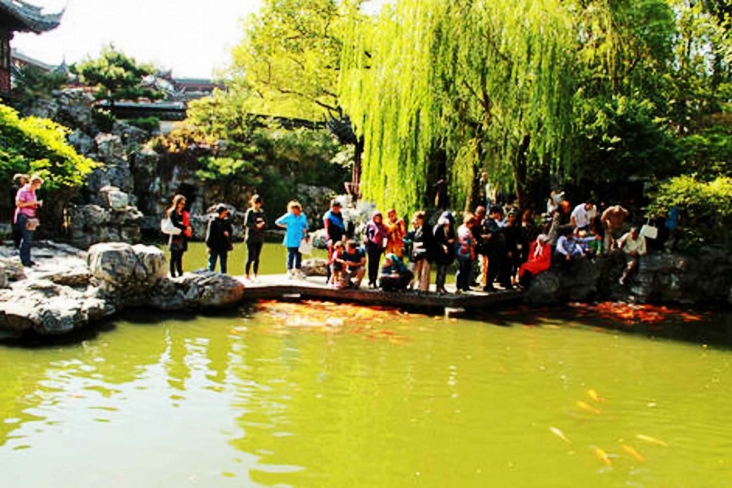 上海旧市街と新市街のハイライトを巡るプライベート1日シティツアー