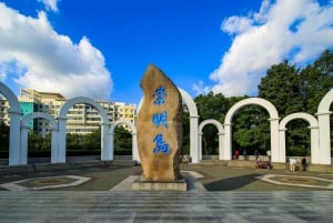 Szanghaj: Prywatny transfer z lotniska Pudong PVG do centrum miasta