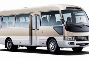 Private Transfer from Shanghai Pudong Airport to Disneyland