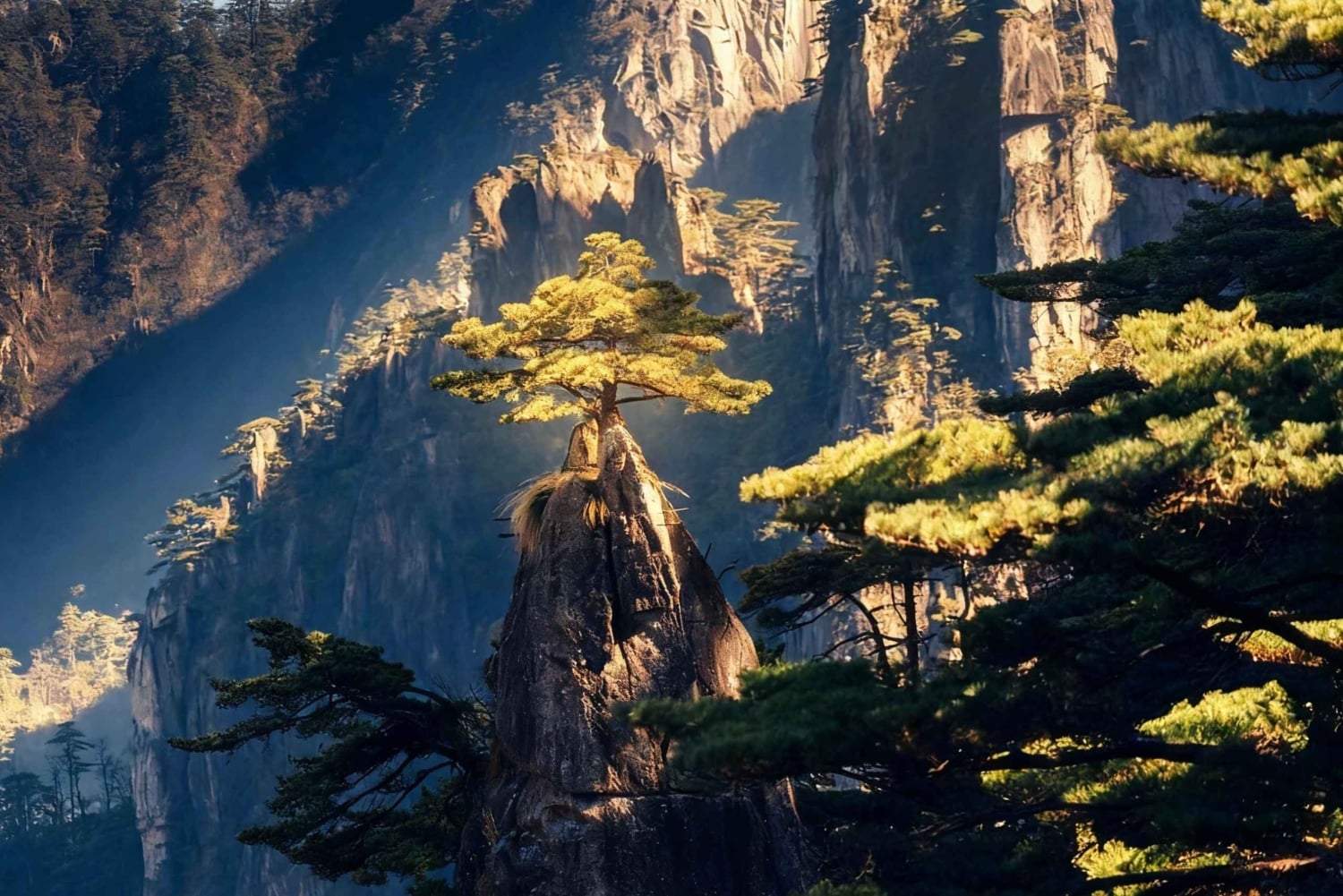 Szanghaj: 2-dniowa prywatna wycieczka do Huangshan i Hongcun