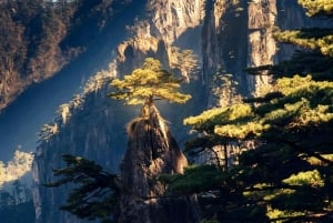 Szanghaj: 2-dniowa prywatna wycieczka do Huangshan i Hongcun