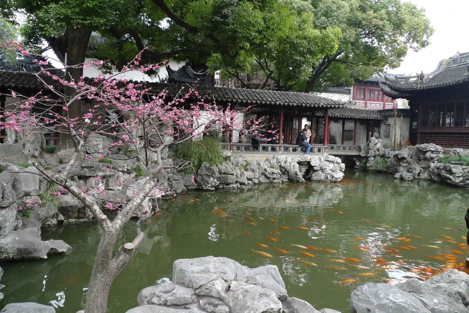 Shanghai: 3-uur durende stadsrondleiding door het oude Shanghai
