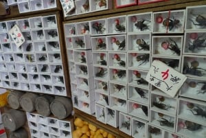 Shanghai: 3-uur durende stadsrondleiding door het oude Shanghai