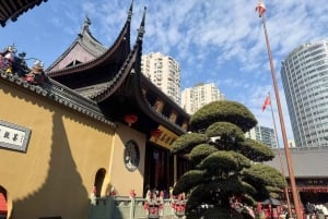 Xangai: Visita de 3 horas à comida de rua e aos templos