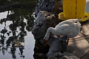 Shanghai: 4-Hour Private Customizable Highlights Tour