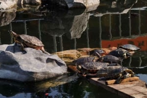 Shanghai: 4-Hour Private Customizable Highlights Tour