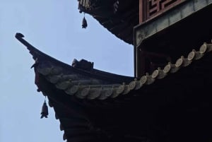 Shanghai: 4-Hour Private Customizable Highlights Tour