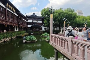 Shanghai: 4-Hour Private Customizable Highlights Tour