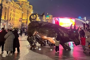 Shanghai: 4-Hour Private Customizable Highlights Tour