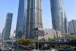 Shanghai: 4-Hour Private Customizable Highlights Tour