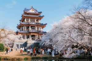 Shanghai: 7-Day Private Tour with Suzhou & Nanjing