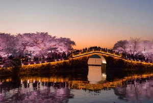 Shanghai: 7-Day Private Tour with Suzhou & Nanjing