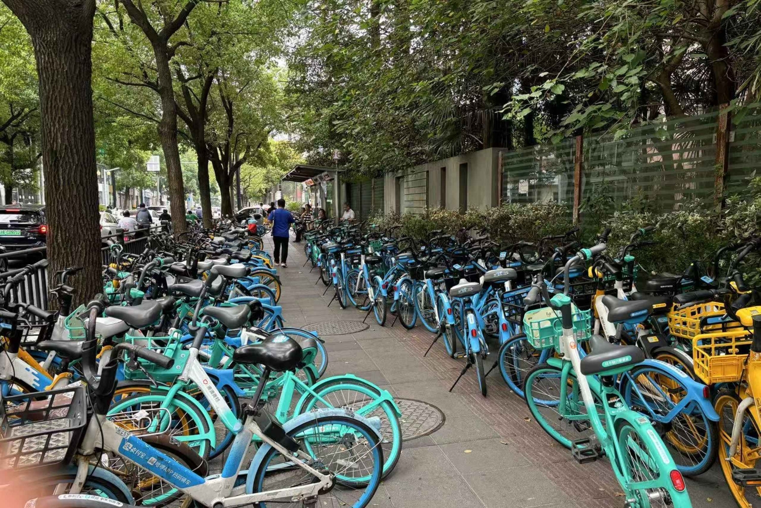 Szanghaj: dzień pełen wrażeń na przedmieściach