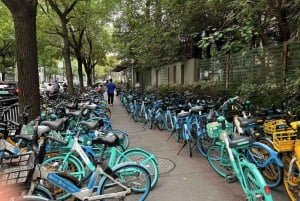 Shanghái: un día de inmersión en la vida suburbana