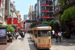 Shanghai Airport Layover Tour with Amazing City Highlights