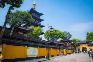 Shanghai: viaggio all-inclusive ai giardini di Suzhou e al Canal Grande